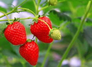 9f256ed9ec6f894d6f69e7122db84fac